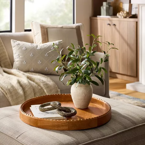 Realistic faux plant in ceramic vase on wooden tray with decorative items on coffee table in modern living room