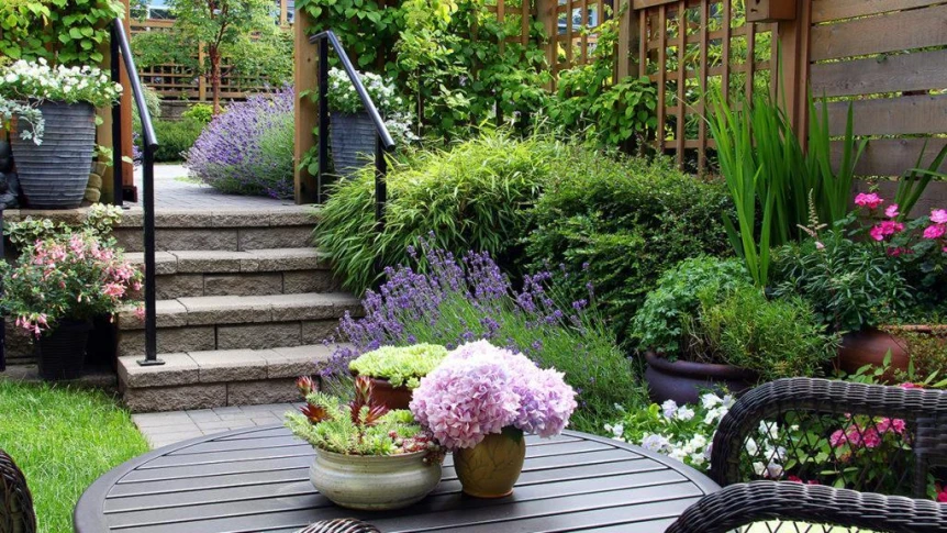 Colorful patio garden with purple hydrangeas in pots, lavender plants, stone steps, and wooden deck furniture