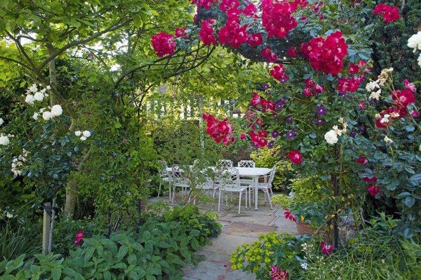 Lush garden patio with climbing roses, white outdoor furniture, and stone pathway surrounded by colorful flowering plants