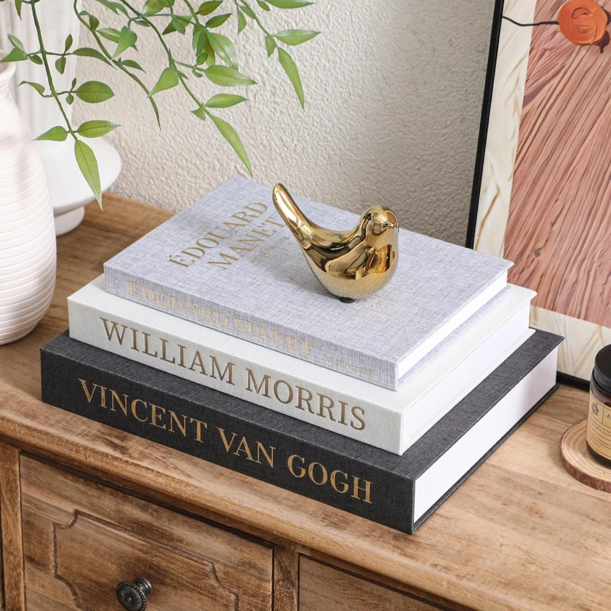 Stack of art books with gold snail figurine on wooden dresser with plant and mirror